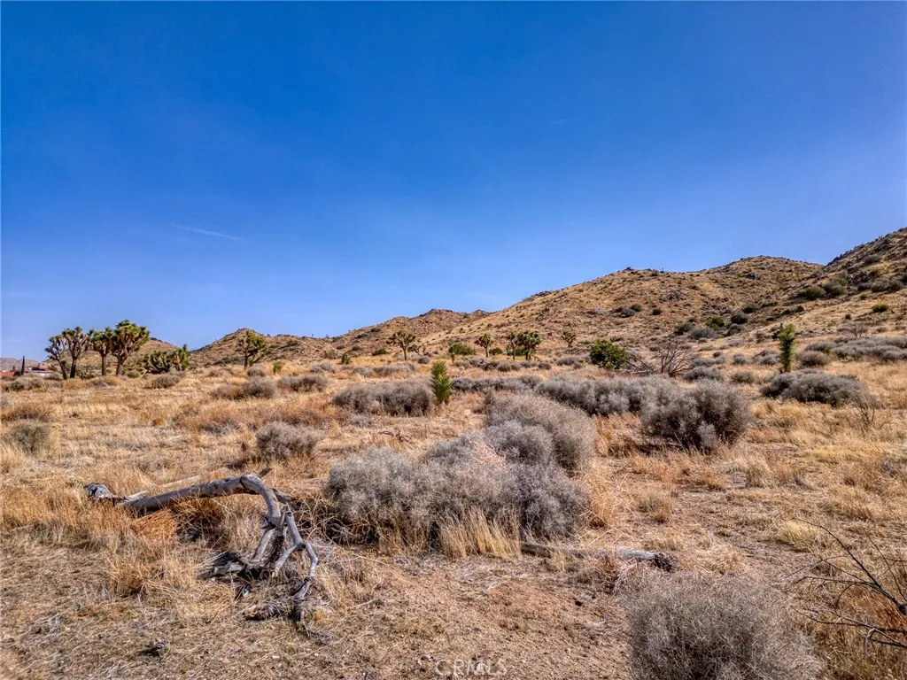 0 Santa Barbara Drive El Monte, CA 91732 - Photo 28 of 36 a view of a large mountain range with trees in the background