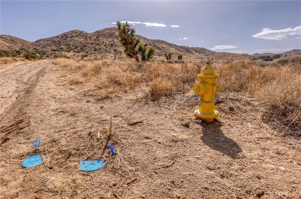 0 Santa Barbara Drive El Monte, CA 91732 - Photo 30 of 36 a view of a dry yard with wooden fence