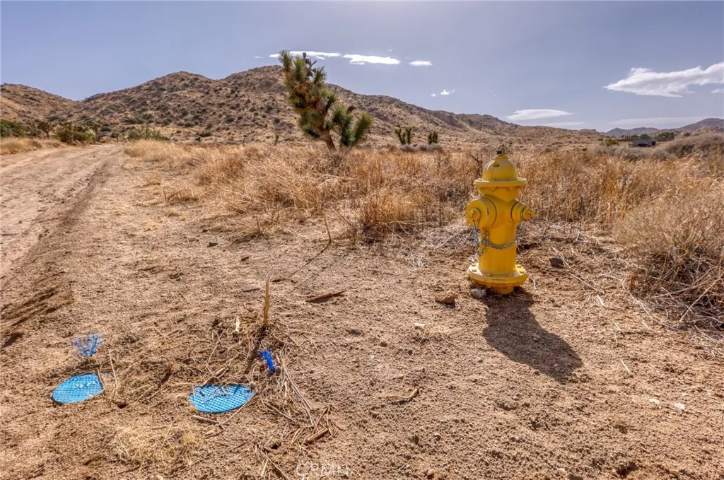 0 Santa Barbara Drive El Monte, CA 91732 - Photo 30 of 36 a view of a dry yard with wooden fence