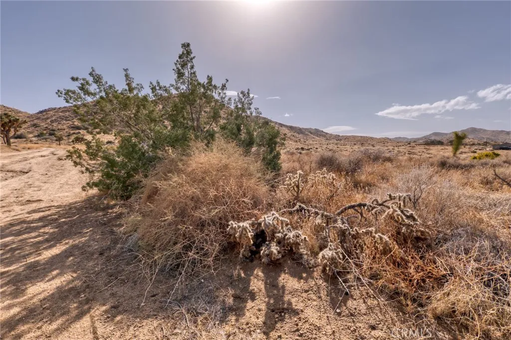 0 Santa Barbara Drive El Monte, CA 91732 - Photo 32 of 36 a view of a field