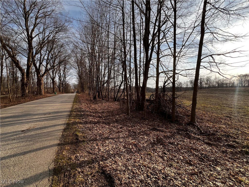 0 Creek Road Williamsfield, OH 44093 - Photo 4 of 9 Gallery Image 4