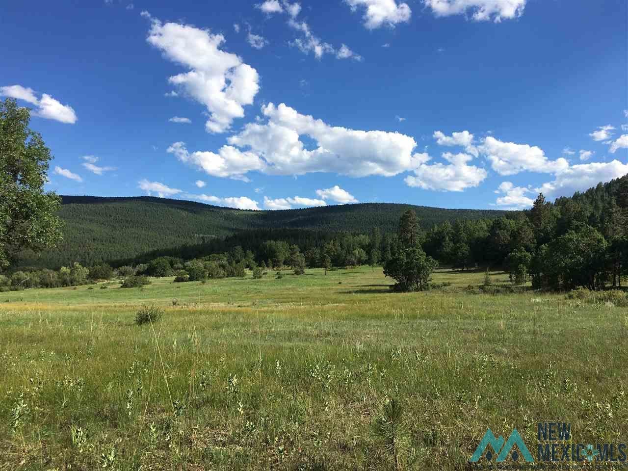 Off Upper Morphy Valley Road Mora, NM 87732 - Photo 1 of 1