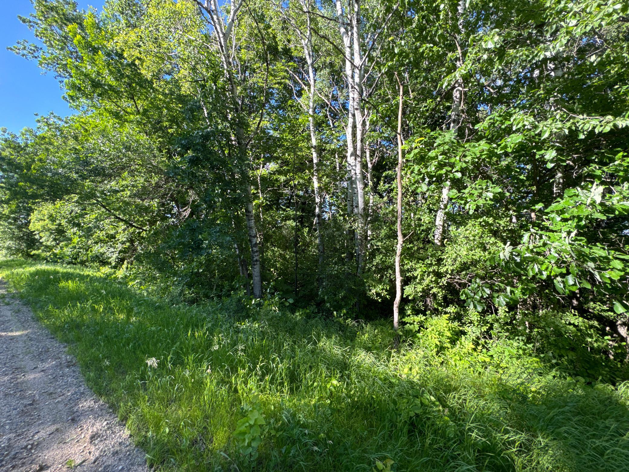 Xxxxx German Lake Road Underwood, MN 56586 - Photo 10 of 16