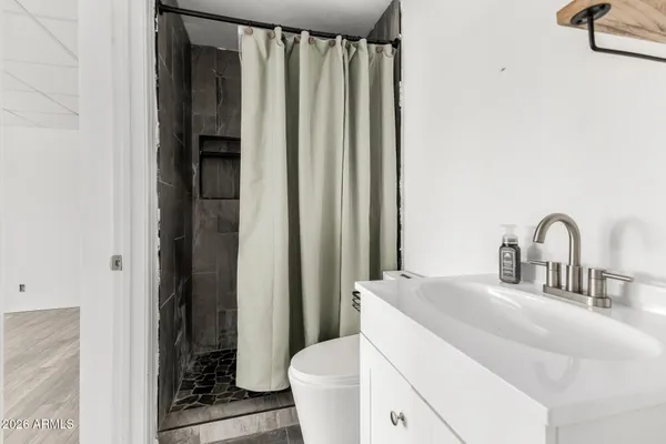 a bathroom with a sink and toilet