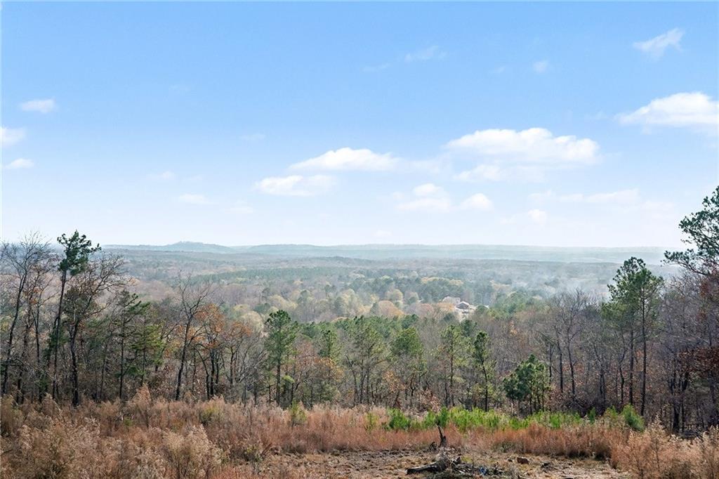 6900 Scenic Heights Road Manchester, GA 31816 - Photo 23 of 30 a view of a city with lush green forest