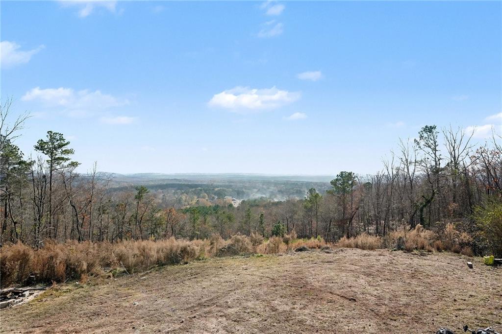 6900 Scenic Heights Road Manchester, GA 31816 - Photo 24 of 30 a view of a dry yard with trees