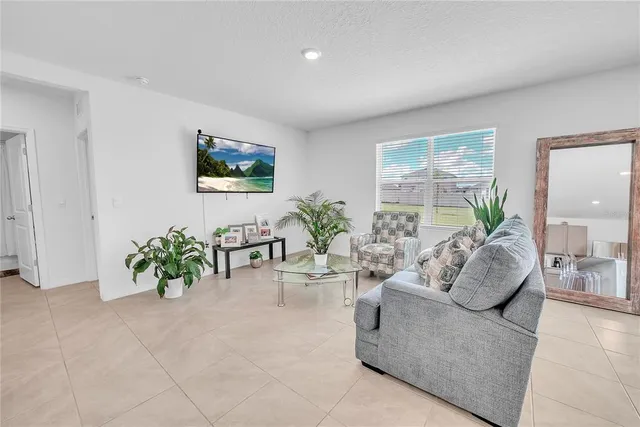 a living room with furniture potted plant and a flat screen tv