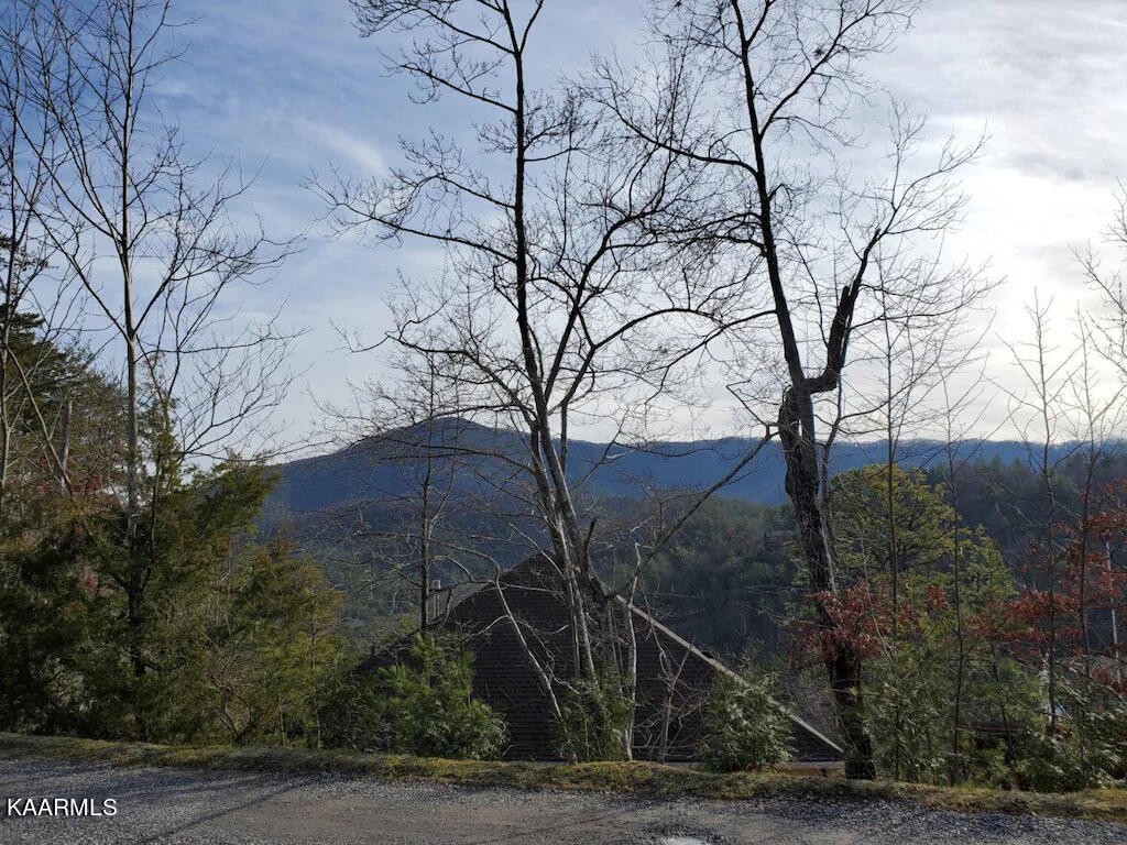 3514 Jakes Ridge Sevierville, TN 37862 - Photo 24 of 28 a backyard of a house with lots of green space