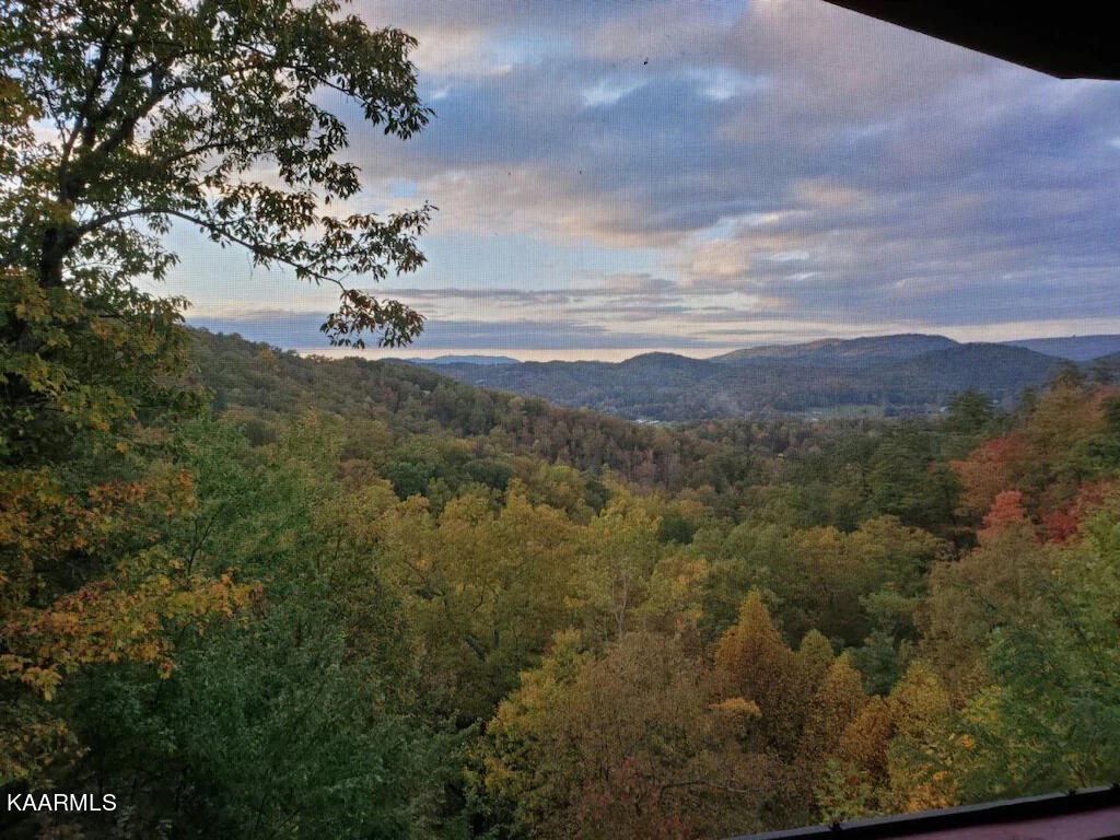 3514 Jakes Ridge Sevierville, TN 37862 - Photo 26 of 28