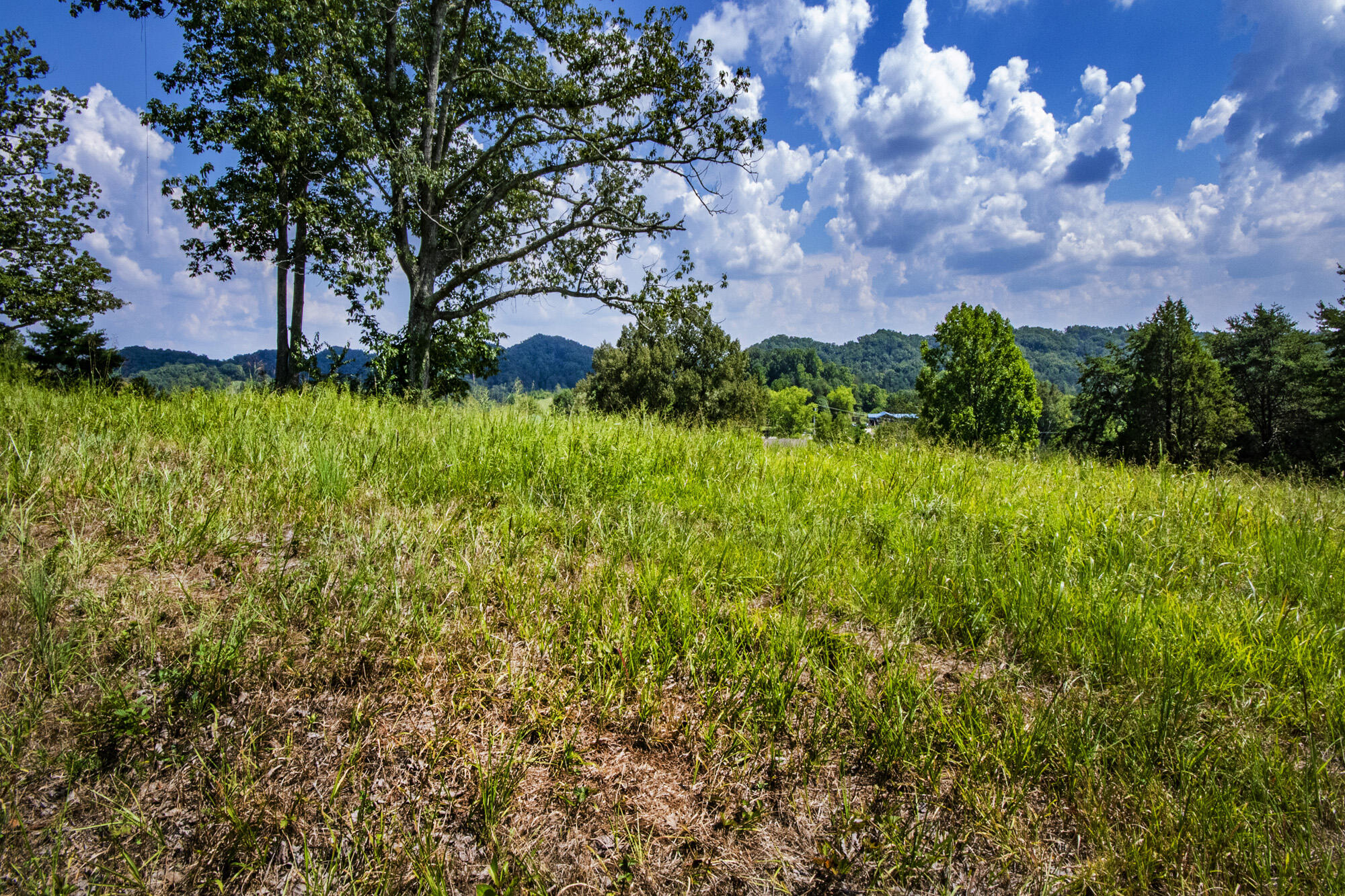 3982 Hickory Valley Road Andersonville, TN 37705 - Photo 11 of 36 V19A1678