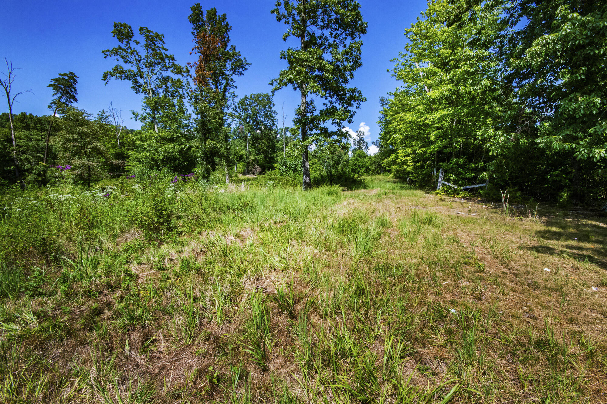 3982 Hickory Valley Road Andersonville, TN 37705 - Photo 12 of 36 V19A1673