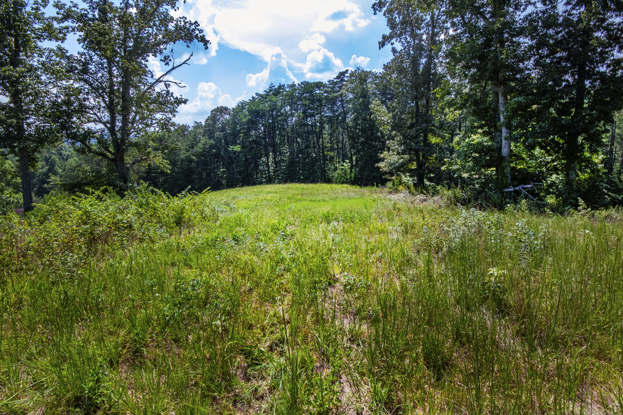 3982 Hickory Valley Road Andersonville, TN 37705 - Photo 13 of 36 V19A1672