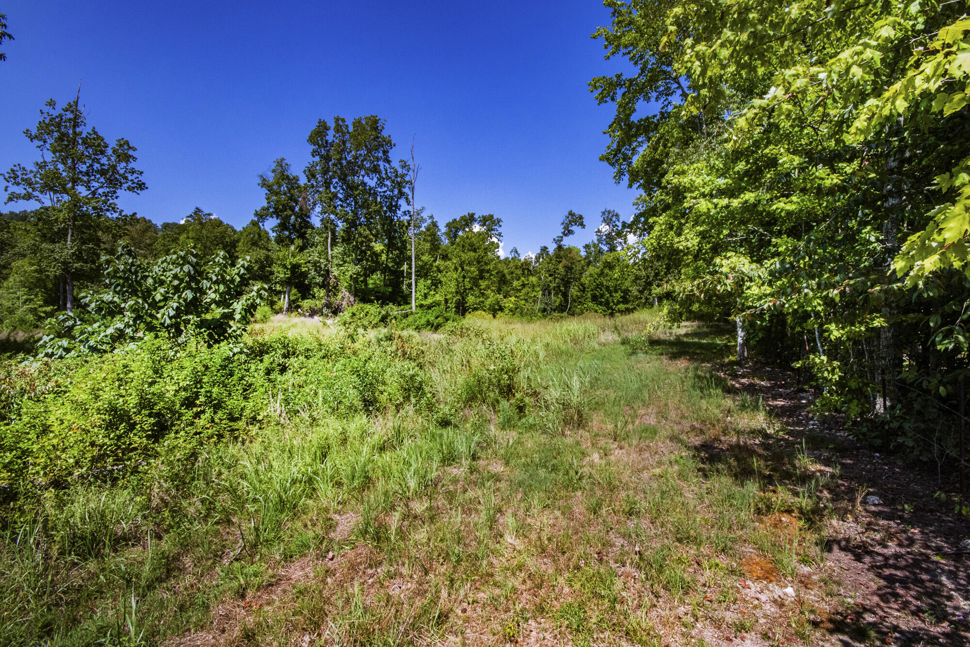 3982 Hickory Valley Road Andersonville, TN 37705 - Photo 14 of 36 V19A1674
