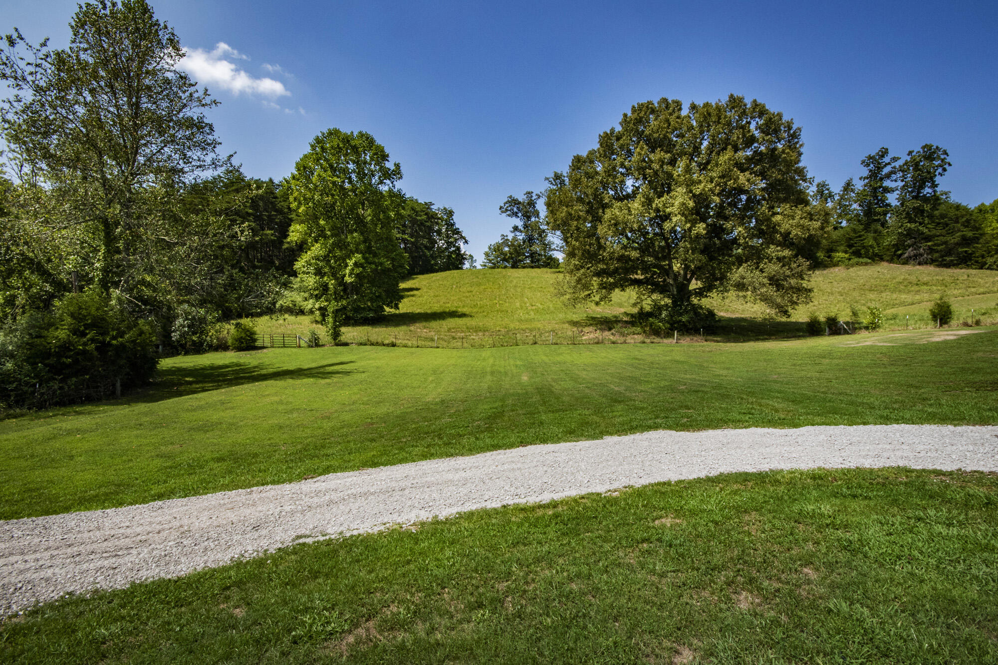 3982 Hickory Valley Road Andersonville, TN 37705 - Photo 7 of 36 V19A1630