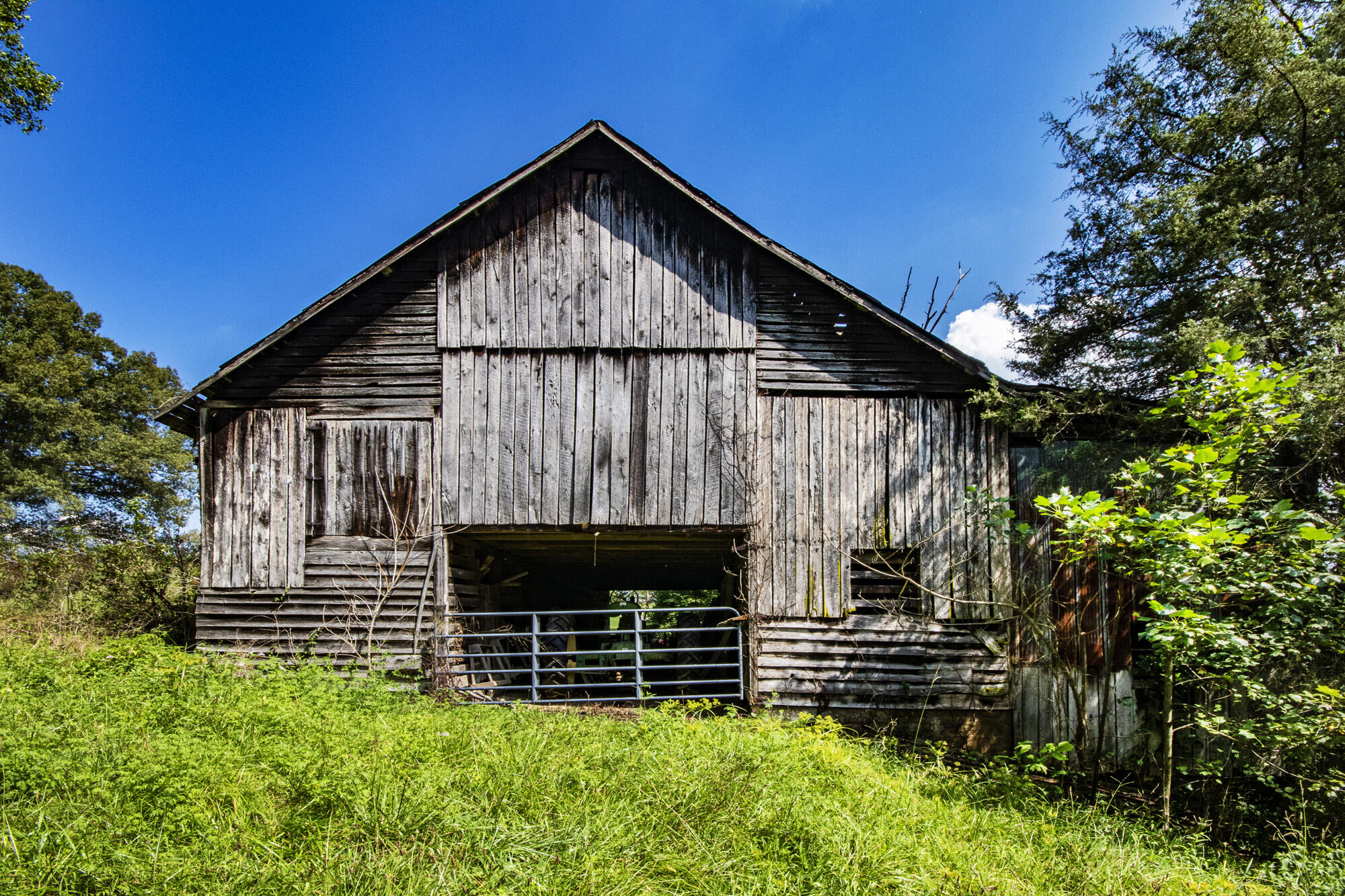 3982 Hickory Valley Road Andersonville, TN 37705 - Photo 8 of 36 V19A1670