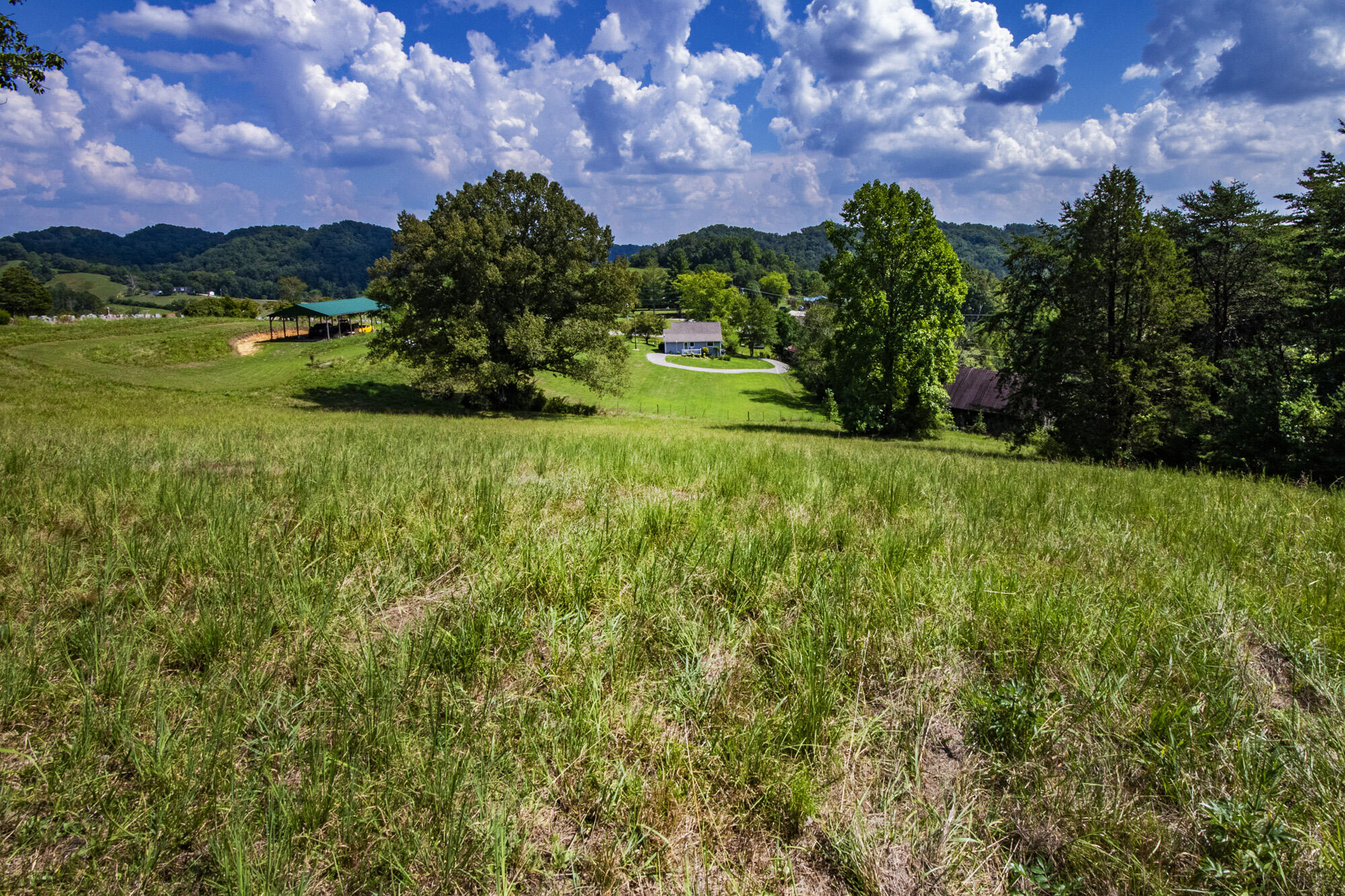 3982 Hickory Valley Road Andersonville, TN 37705 - Photo 9 of 36 V19A1683