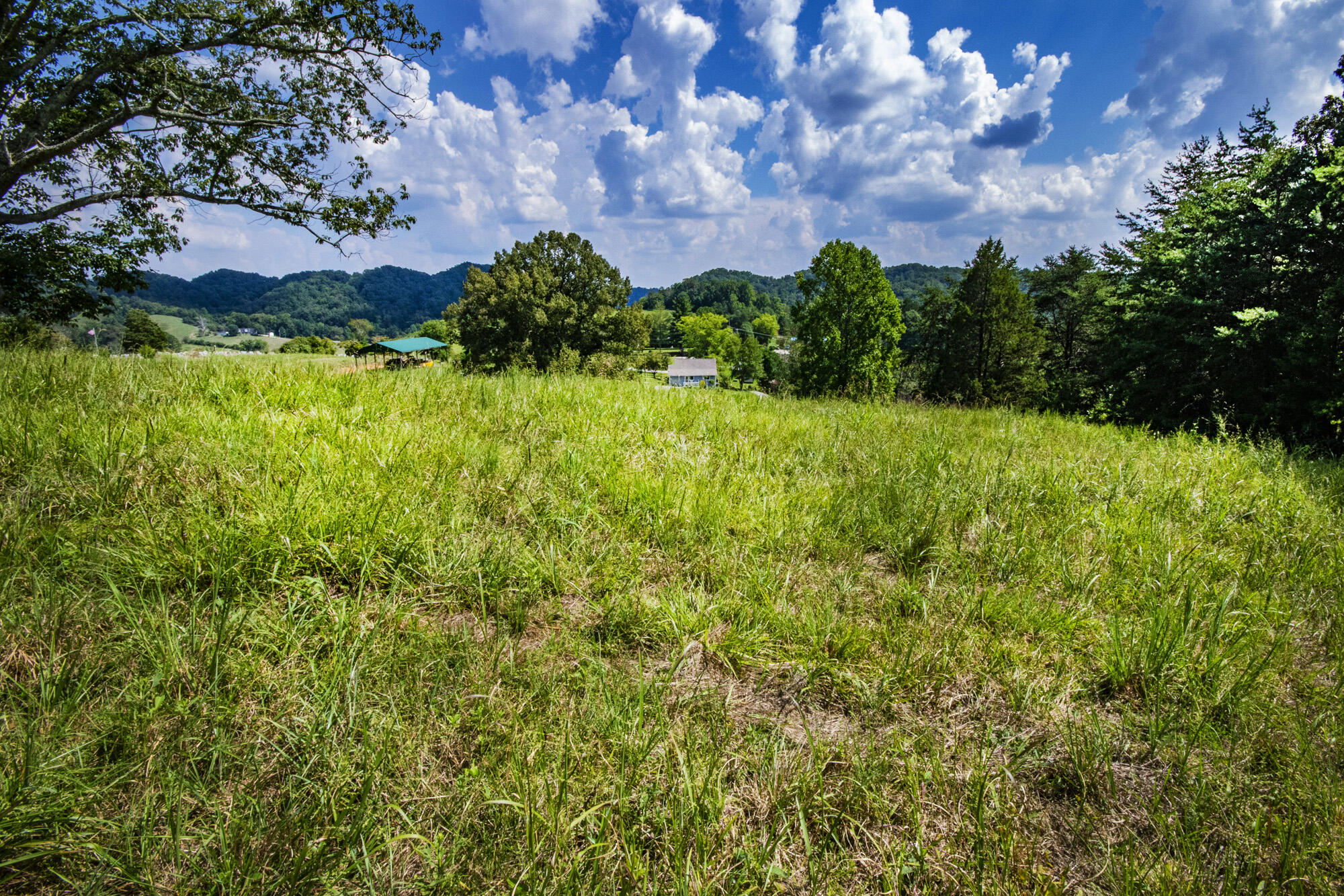 3982 Hickory Valley Road Andersonville, TN 37705 - Photo 10 of 36 V19A1681