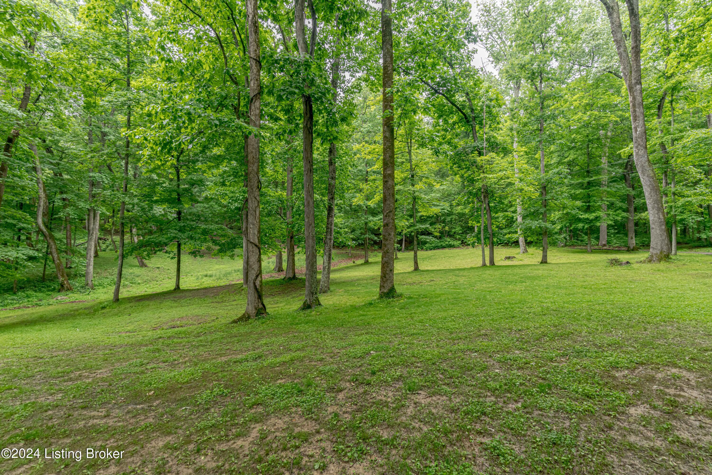 300 Ferncliff Road Brandenburg, KY 40108 - Photo 78 of 94 DSC09224