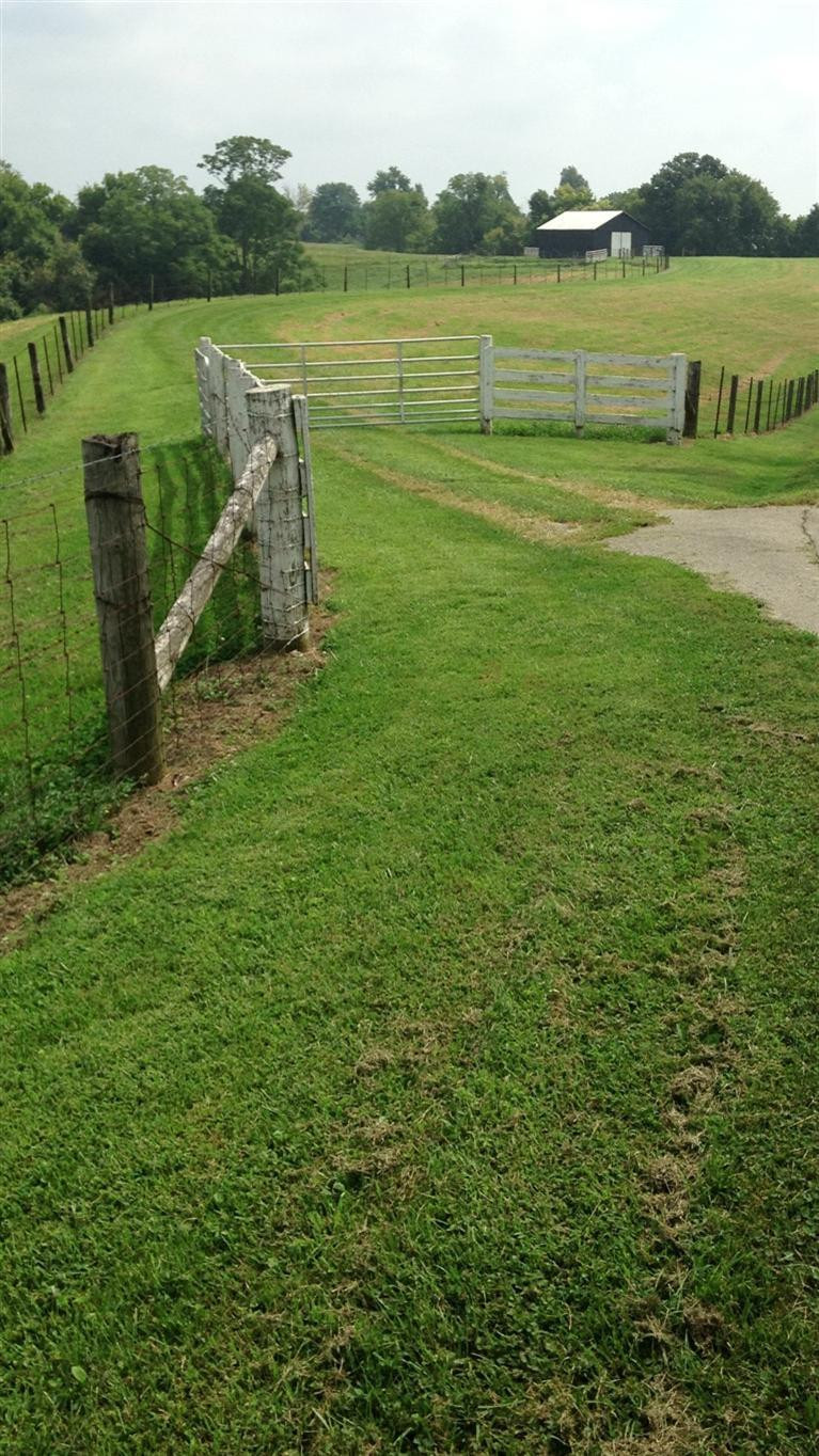 1 Taylor Ridge Road Nicholasville, KY 40356 - Photo 15 of 17 Photo 15