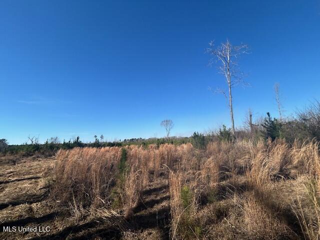 Jones Road Summit, MS 39666 - Photo 3 of 17 IMG_2863