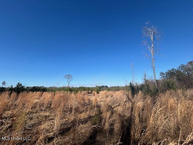 Jones Road Summit, MS 39666 - Photo 4 of 17 IMG_2864