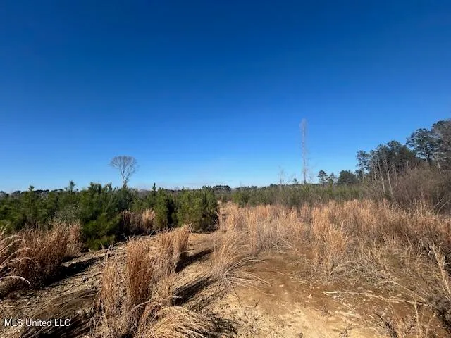 $273,000 | Jones Road, Summit, MS 39666