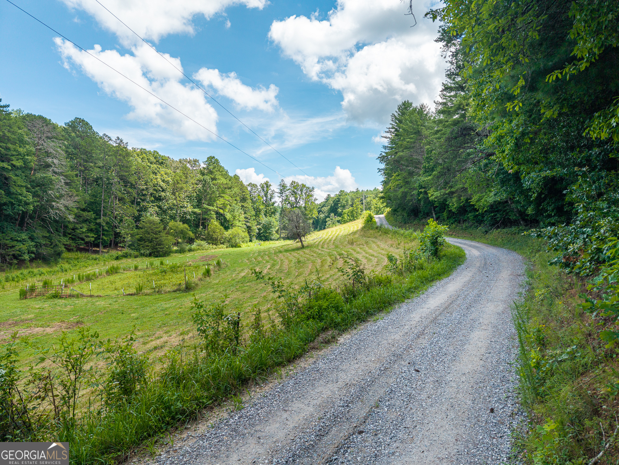 0 White Pine Road McCaysville, GA 30555 - Photo 22 of 32 Gallery Image 22