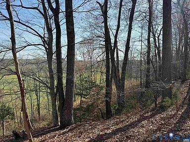 0 Paynes Pond Road Scottsville, VA 24590 - Photo 26 of 44