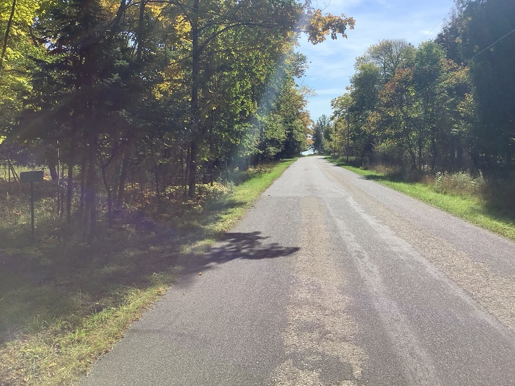 Wickman Road Washington Island, WI 54246 - Photo 7 of 8