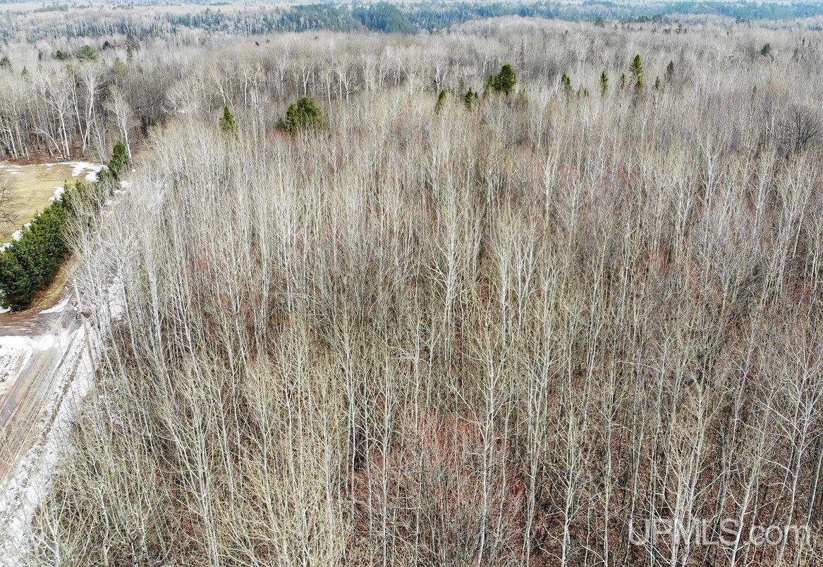 20 Grenlund Road Bruce Crossing, MI 49912 - Photo 1 of 18