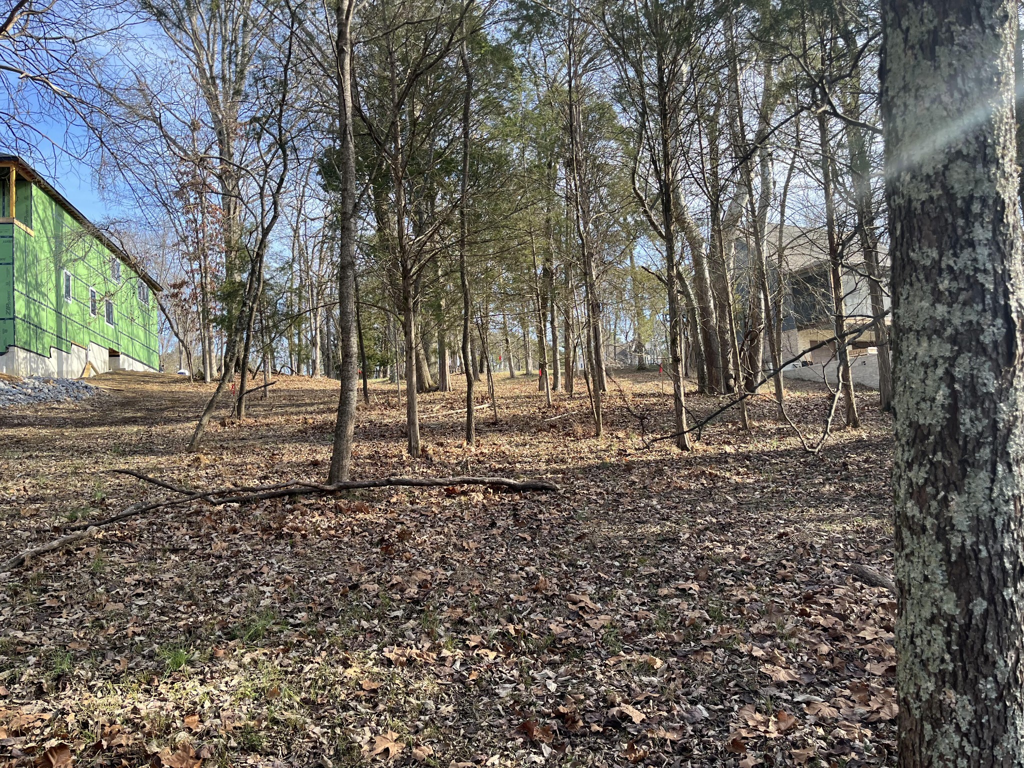 1218 Lake Marie Road Gallatin, TN 37066 - Photo 7 of 7