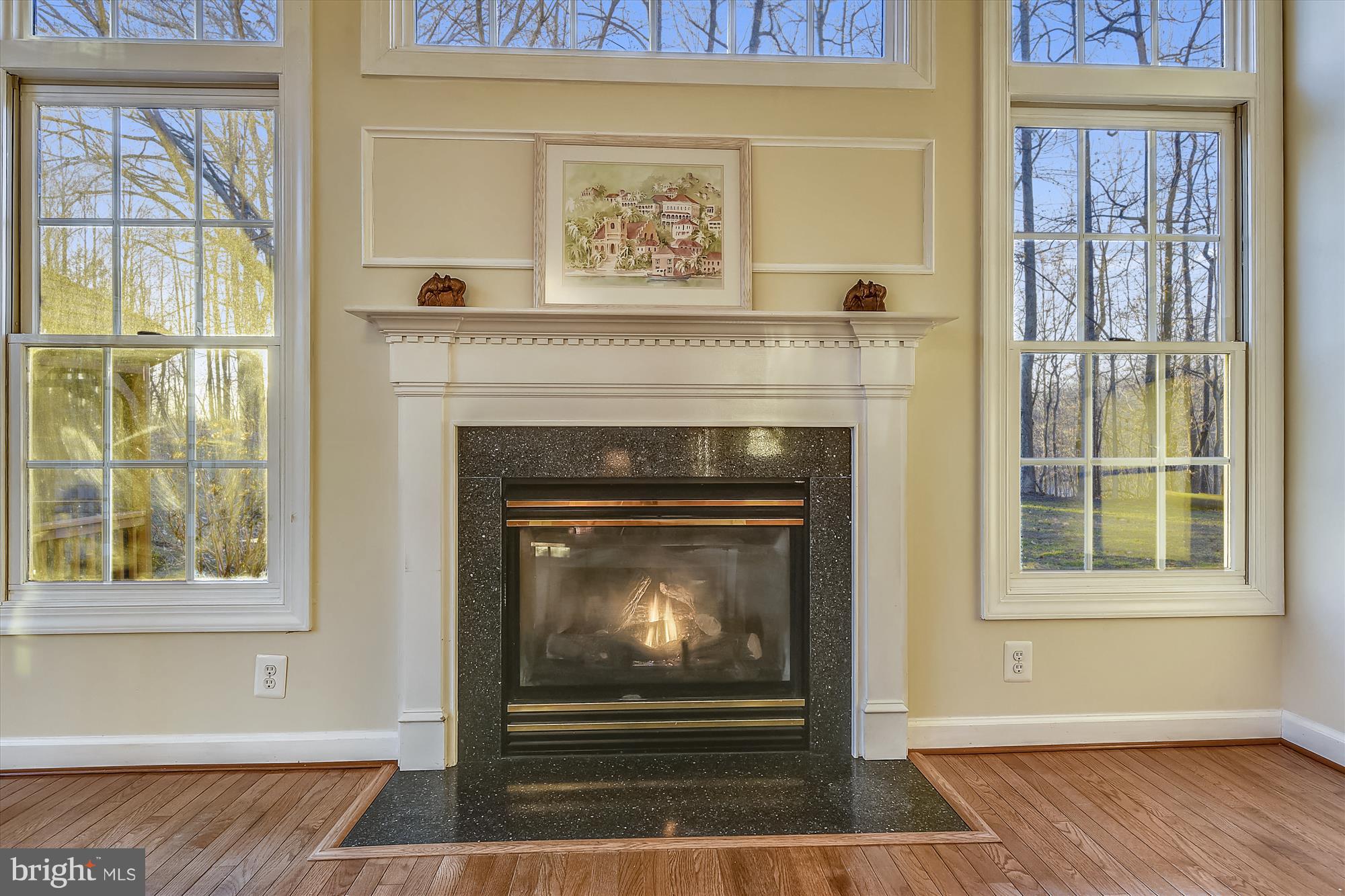2019 Gresham Lane Davidsonville, MD 21035 - Photo 29 of 85 a view of an empty room with wooden floor and a fireplace