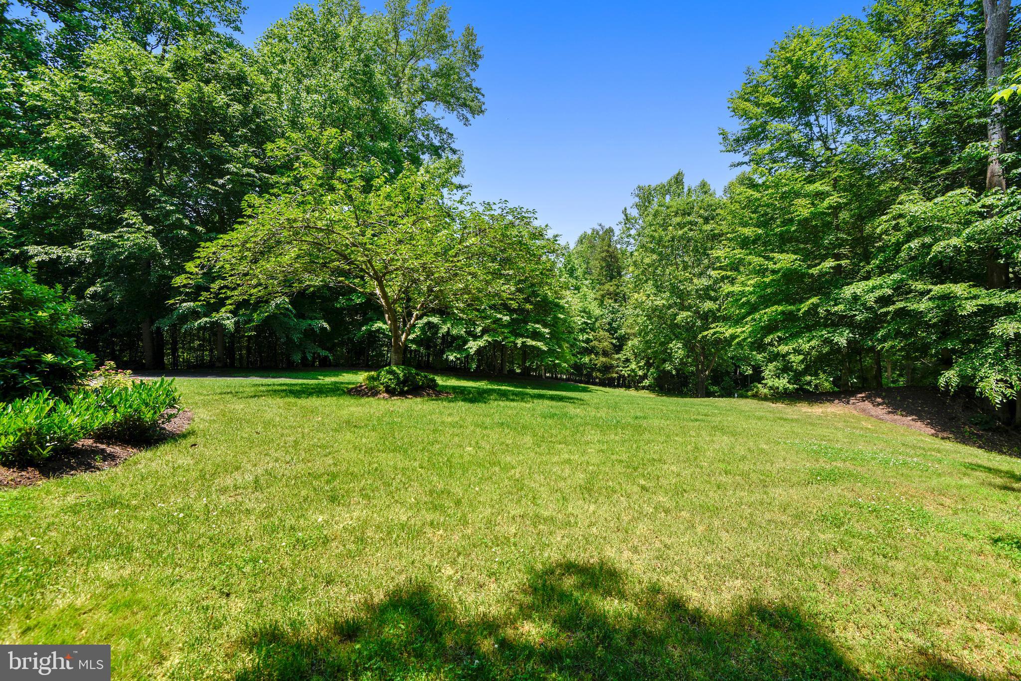 2019 Gresham Lane Davidsonville, MD 21035 - Photo 9 of 85 Lush landscaping