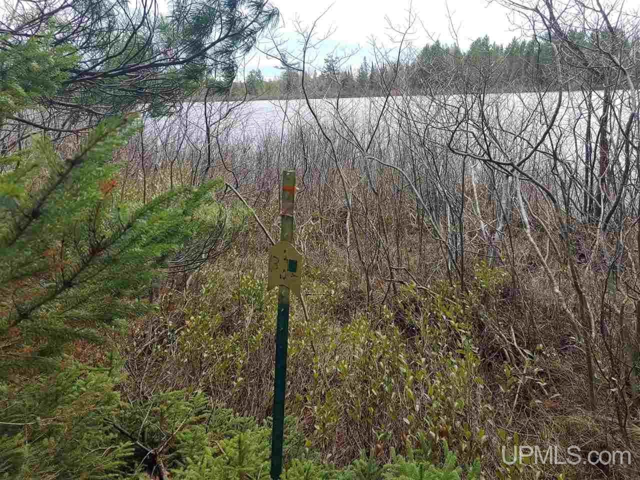 Lot 12 Rice Landing Rd Lake Lake Linden, MI 49945 - Photo 20 of 43