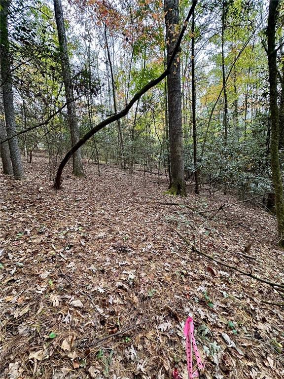 375 Ed Nixon Road Thurmond, NC 28683 - Photo 25 of 31