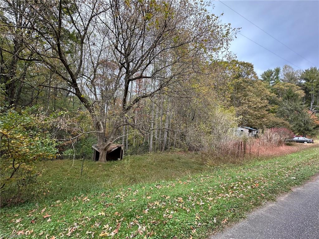 375 Ed Nixon Road Thurmond, NC 28683 - Photo 5 of 31