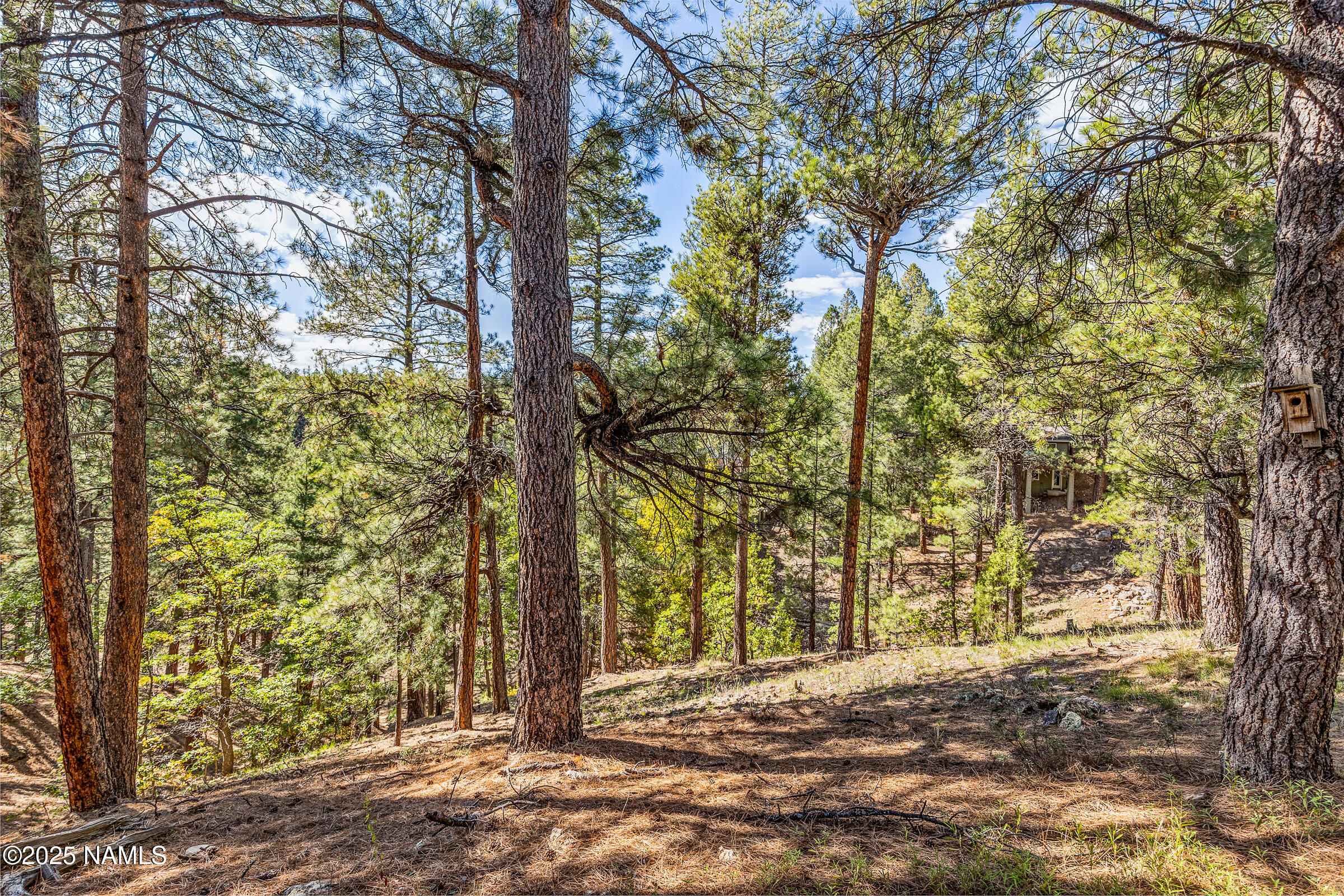 2252 Link Smith Flagstaff, AZ 86005 - Photo 53 of 53 2252 Link Smith-54
