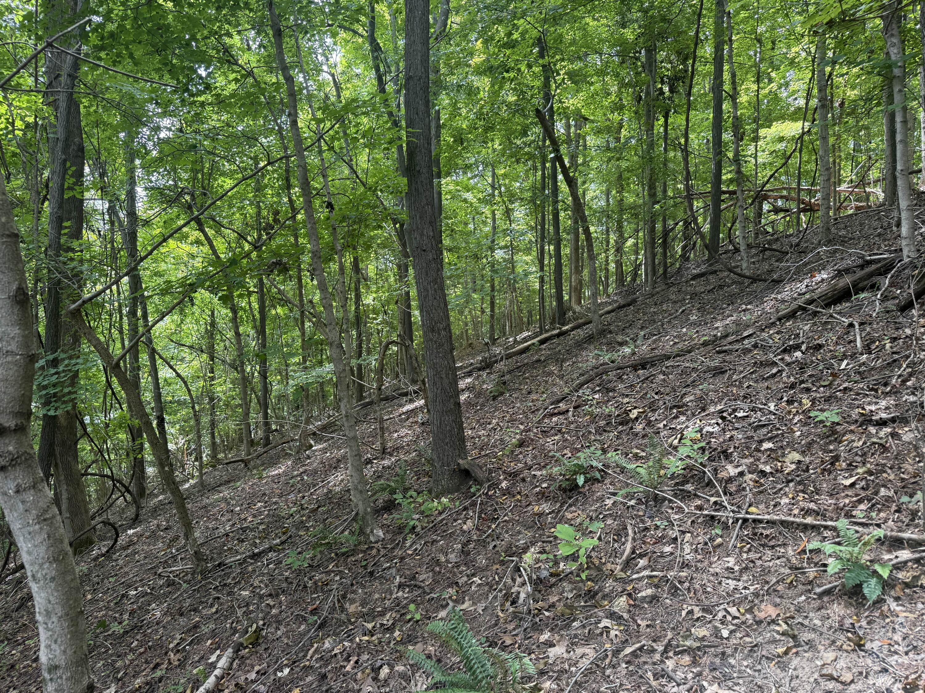 0 Perry Springs Road Eddyville, KY 42038 - Photo 37 of 41 33