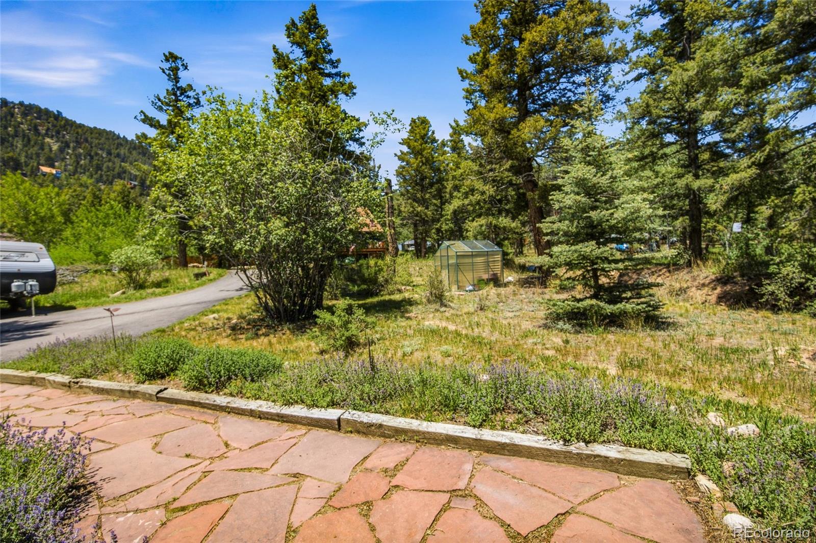 31280 Florence Road Conifer, CO 80433 - Photo 32 of 48 a view of a pathway both side of yard