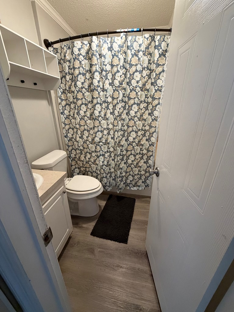 520 Copeland Road Pine Mountain Valley, GA 31823 - Photo 4 of 9