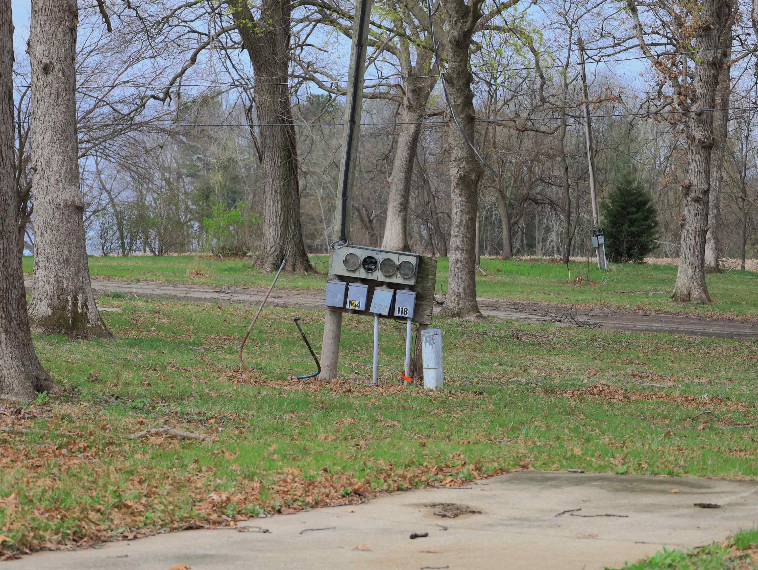 4500 East River Road Ridott, IL 61067 - Photo 46 of 54 a view of a park with large trees