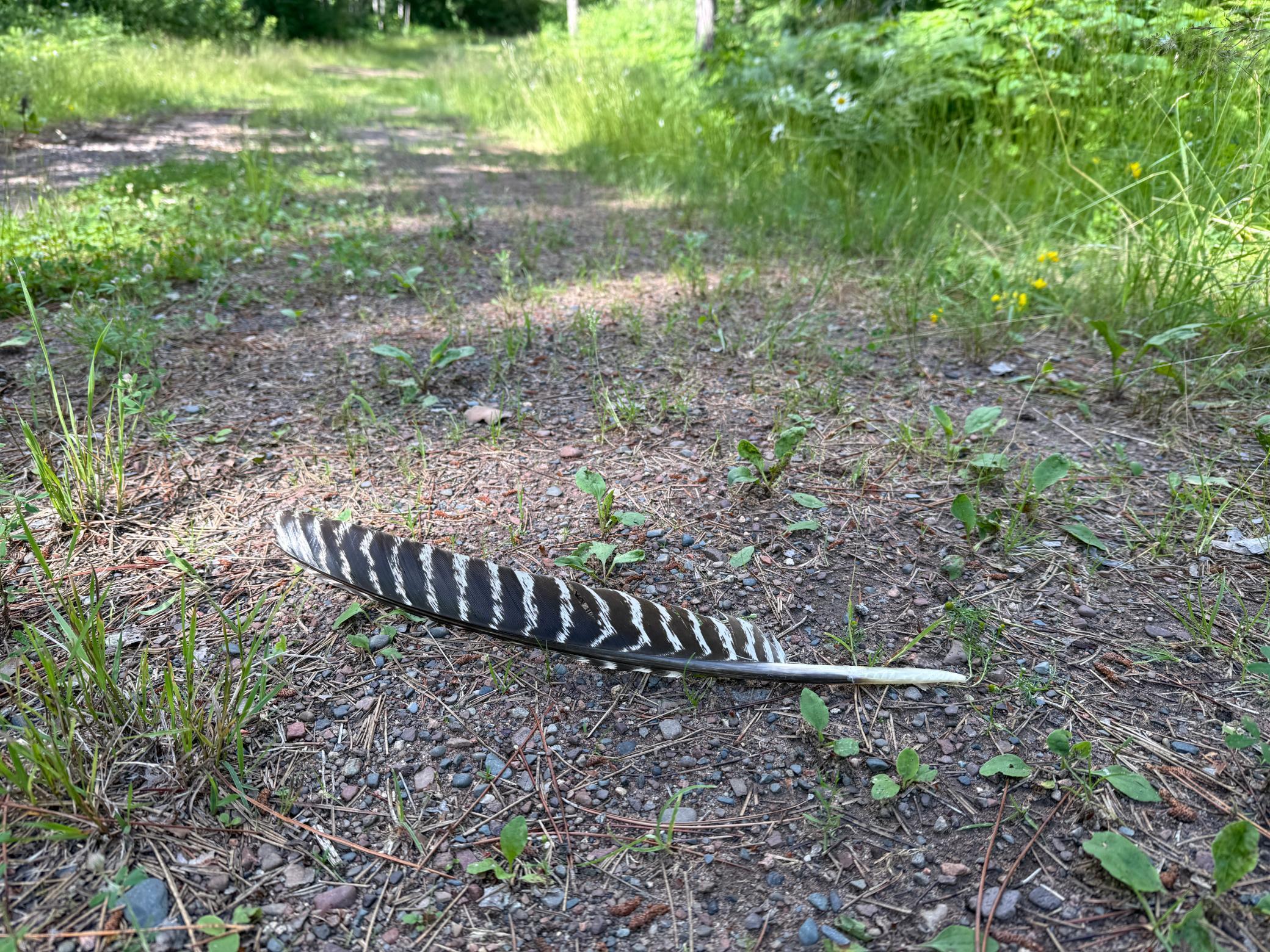 Tbd (option A) Tbd (option A) Maple Grove Road Cloquet, MN 55720 - Photo 12 of 85
