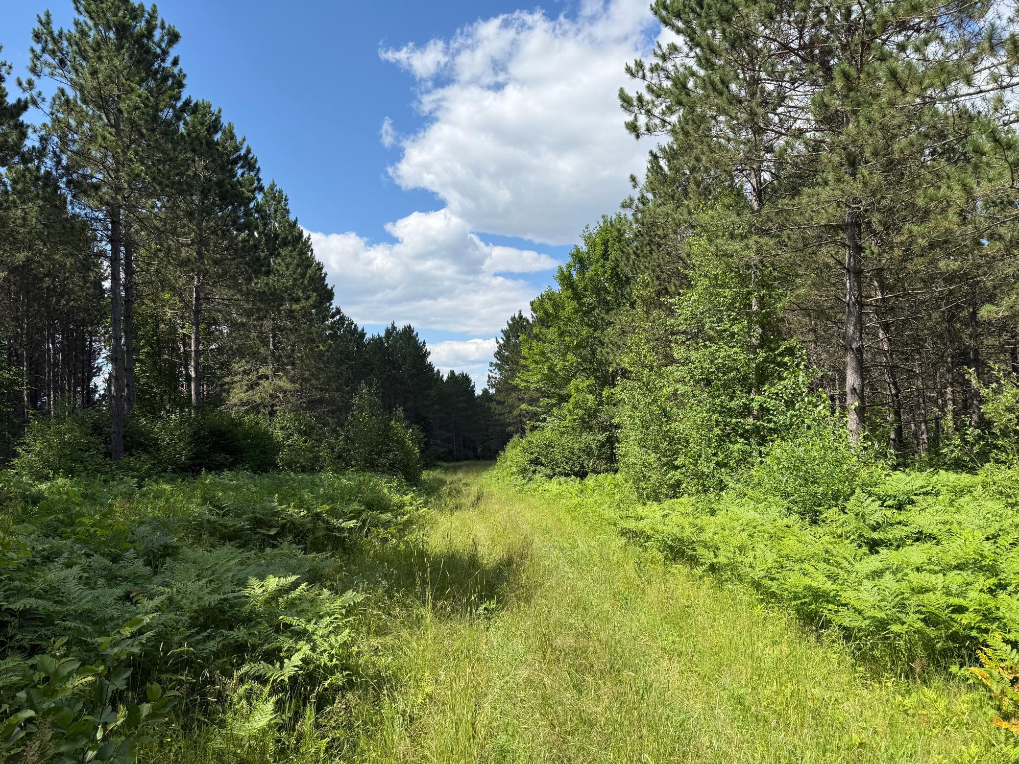 Tbd (option A) Tbd (option A) Maple Grove Road Cloquet, MN 55720 - Photo 15 of 85