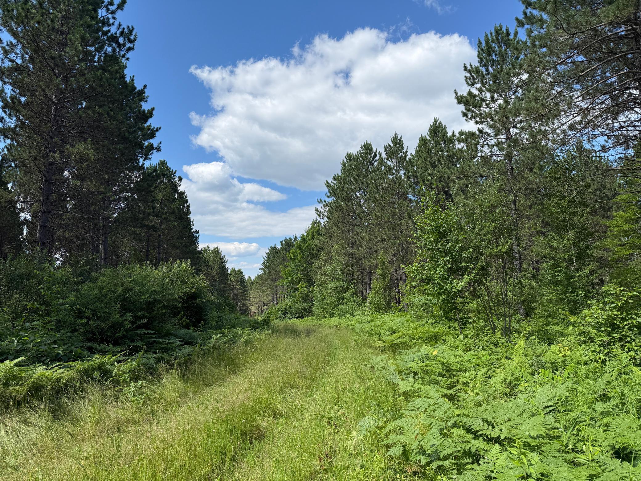 Tbd (option A) Tbd (option A) Maple Grove Road Cloquet, MN 55720 - Photo 16 of 85