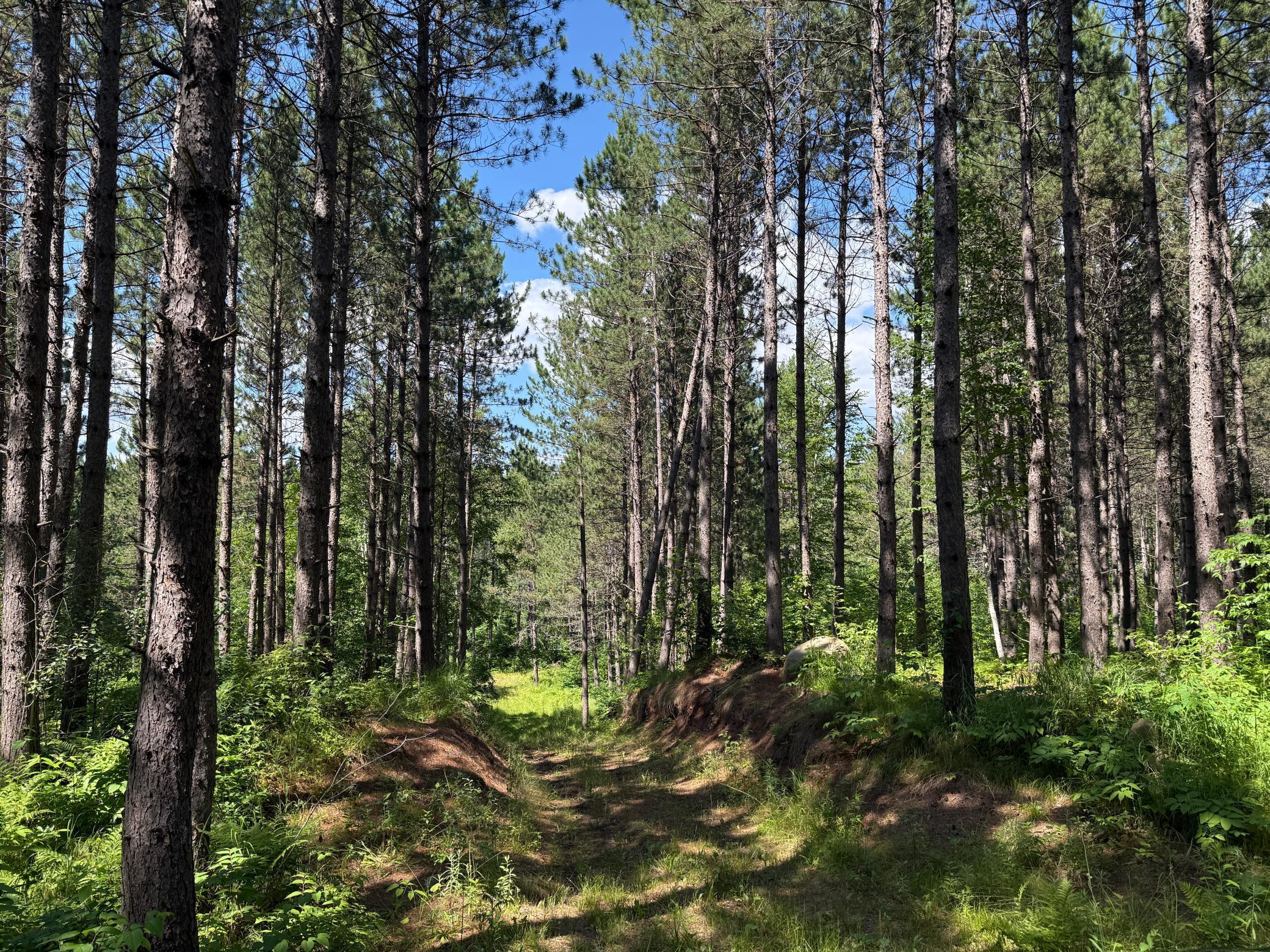 Tbd (option A) Tbd (option A) Maple Grove Road Cloquet, MN 55720 - Photo 17 of 85