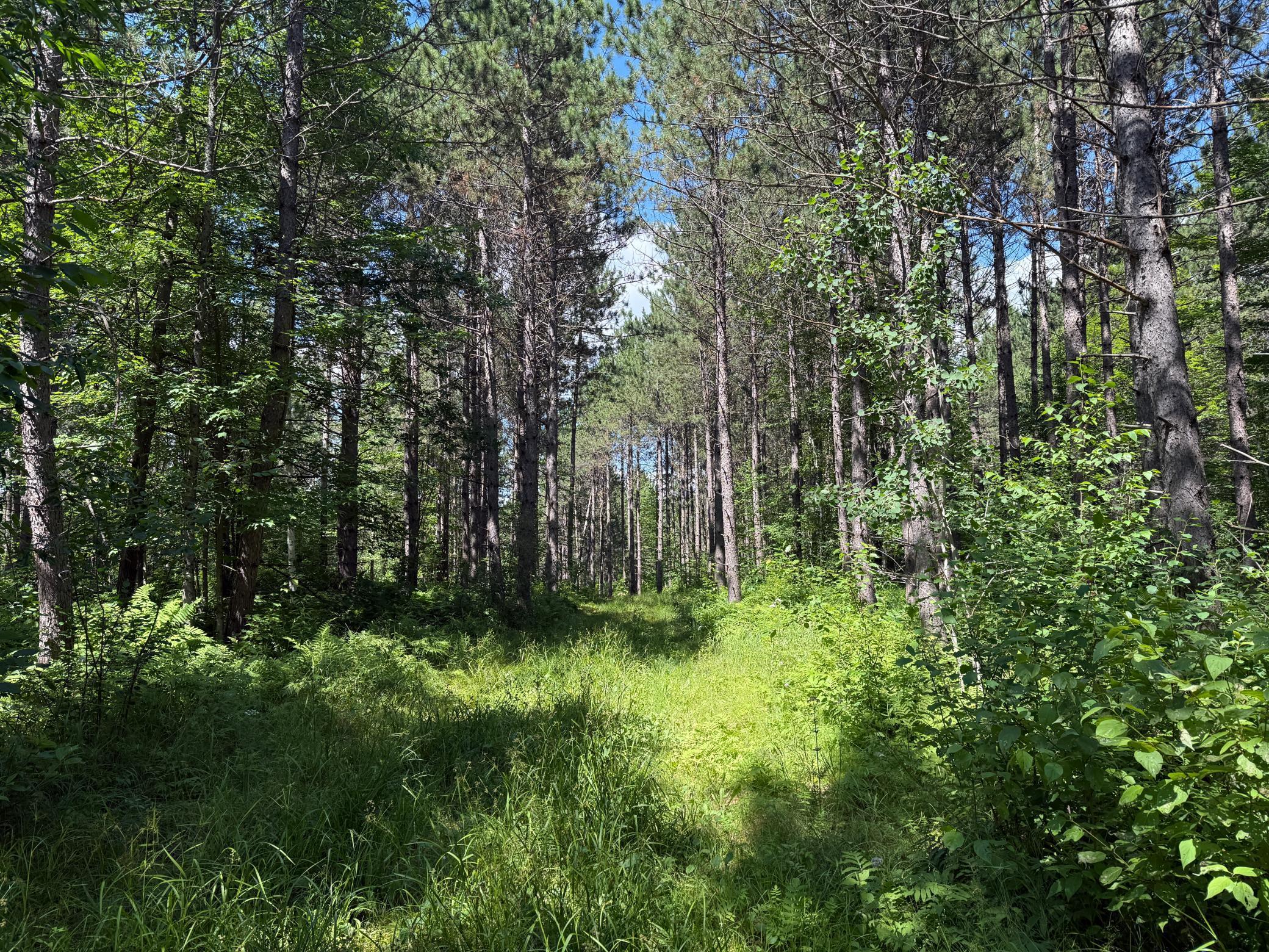 Tbd (option A) Tbd (option A) Maple Grove Road Cloquet, MN 55720 - Photo 18 of 85