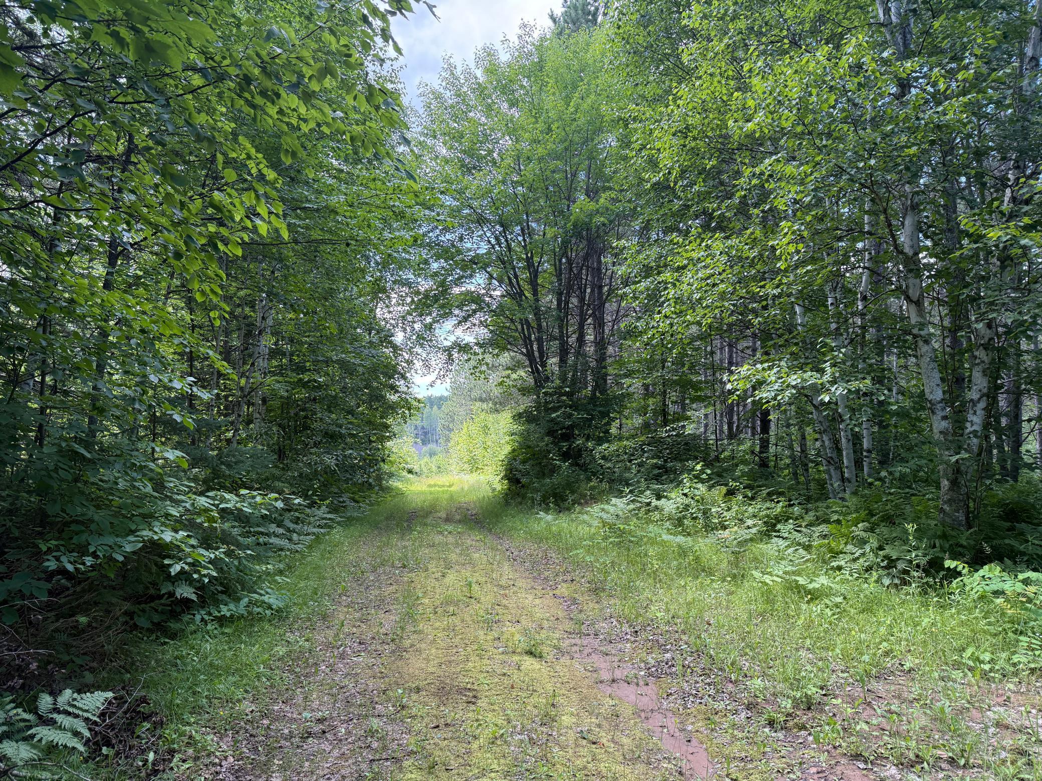 Tbd (option A) Tbd (option A) Maple Grove Road Cloquet, MN 55720 - Photo 19 of 85