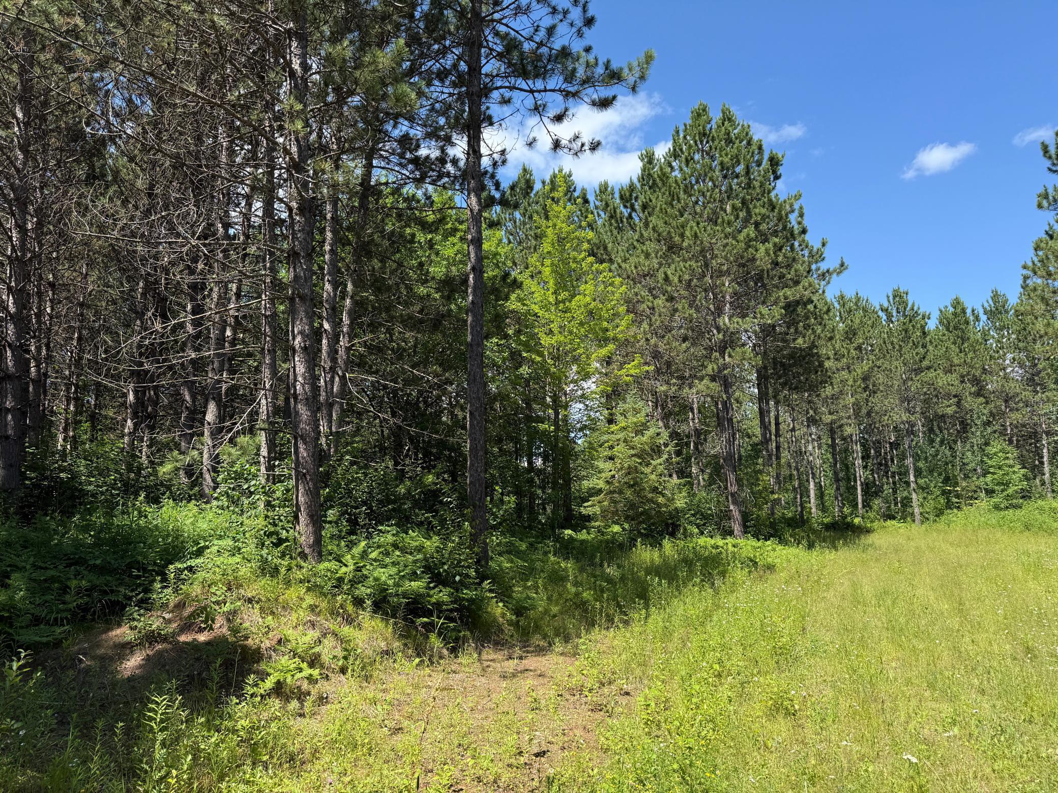 Tbd (option A) Tbd (option A) Maple Grove Road Cloquet, MN 55720 - Photo 22 of 85