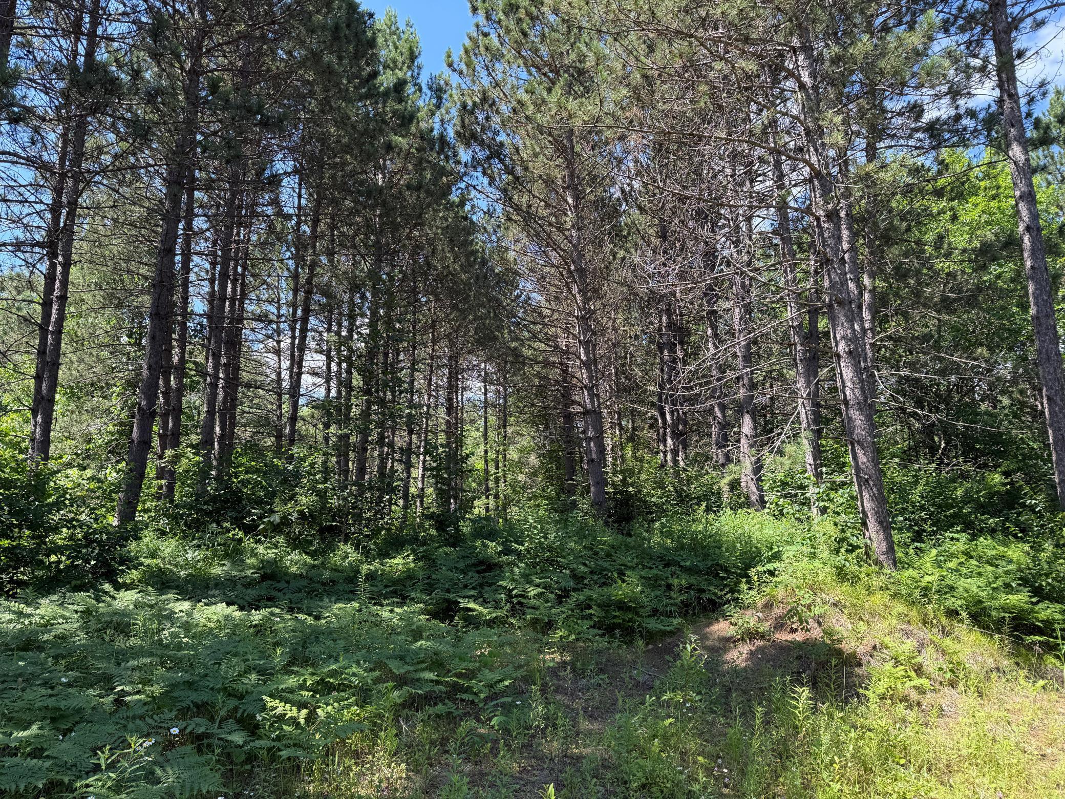 Tbd (option A) Tbd (option A) Maple Grove Road Cloquet, MN 55720 - Photo 23 of 85