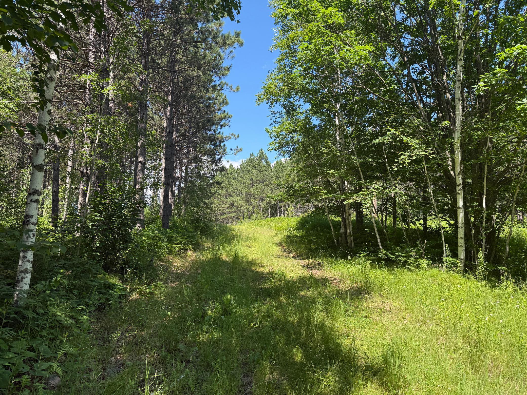 Tbd (option A) Tbd (option A) Maple Grove Road Cloquet, MN 55720 - Photo 24 of 85